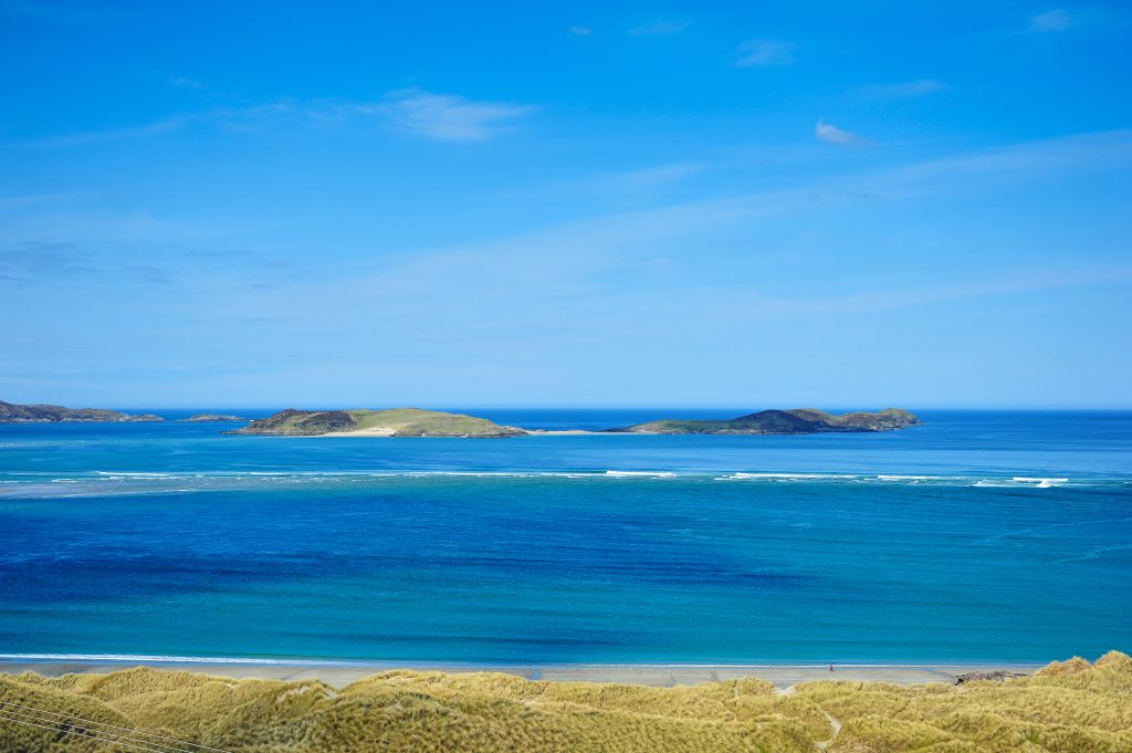 Beach and the ocean