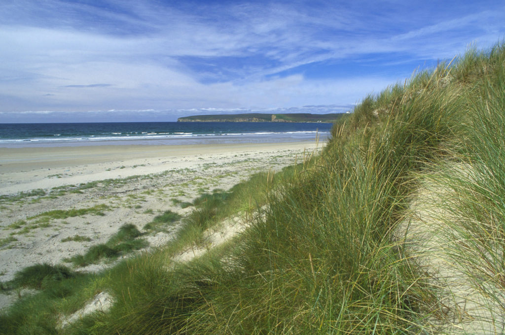 Dunnet Bay